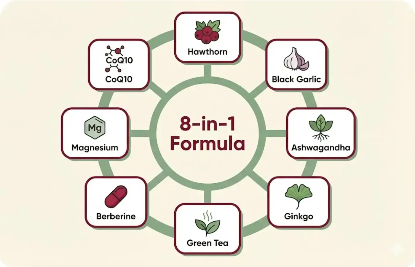 Infographic showing HeartWell 8 ingredients: Hawthorn, Black Garlic, Ashwagandha, Ginkgo, Green Tea, Berberine, Magnesium, CoQ10