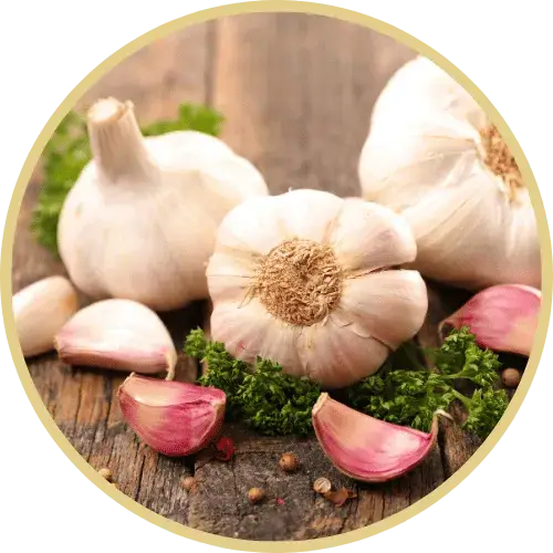Garlic cloves in a table