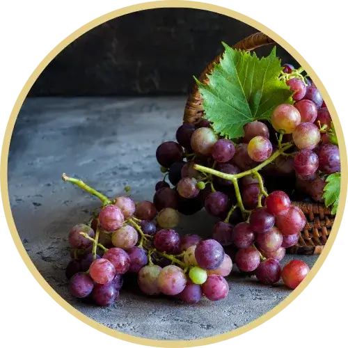 Grape fruits in a table