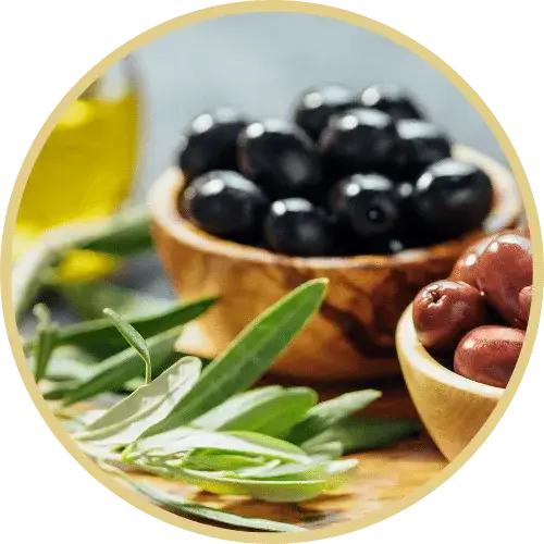 Olive Extract