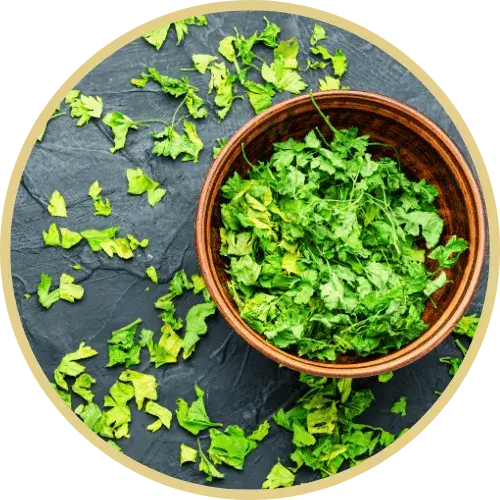 Parsley in a cup over a table