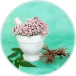 Valerian root in a bowl