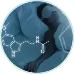melatonin illustration